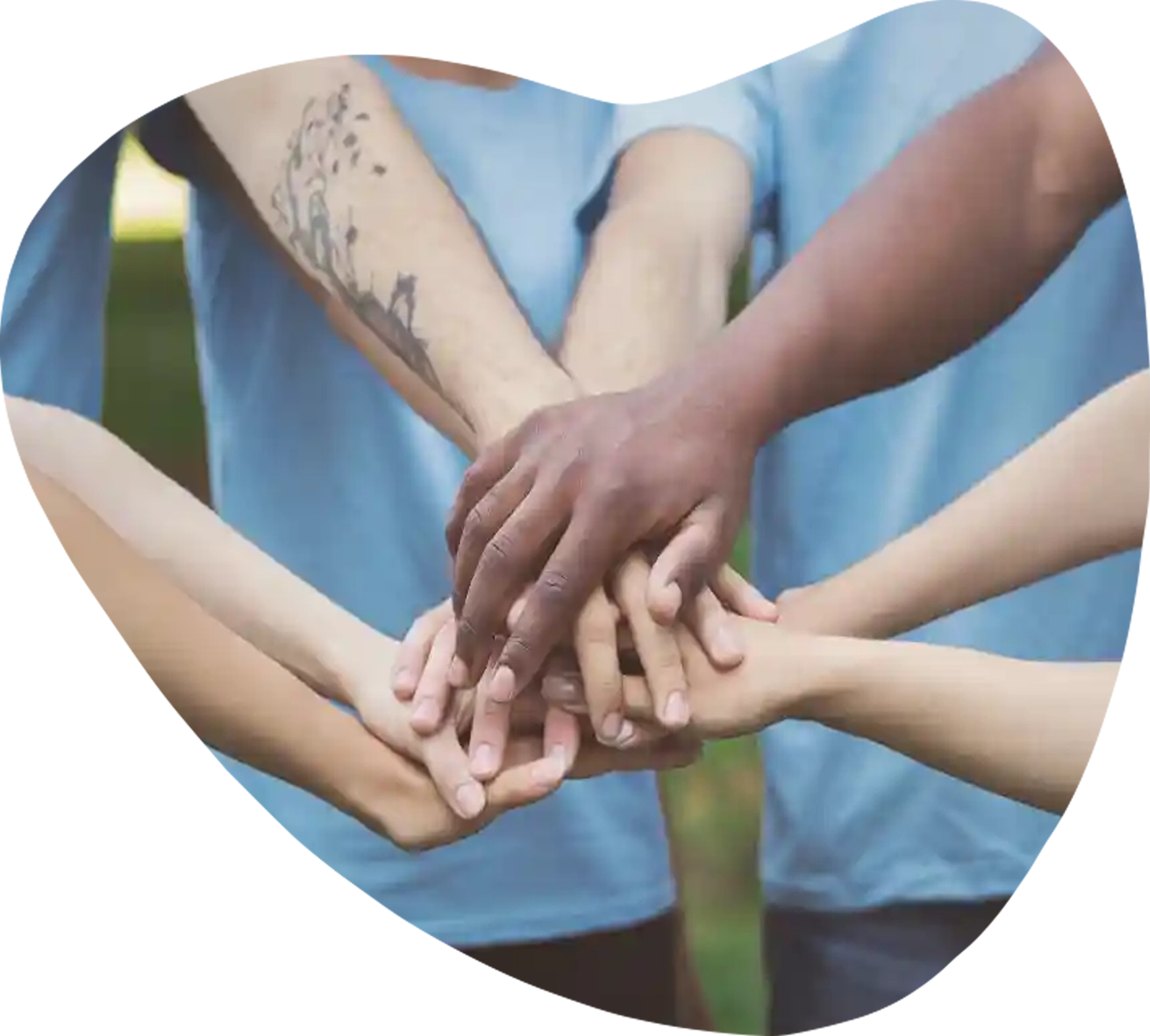 An image showing a handshake.